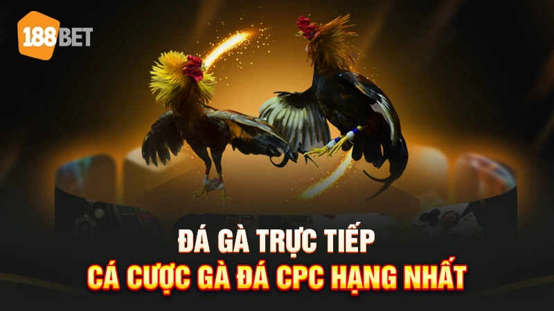 Đá gà trực tiếp 188BET